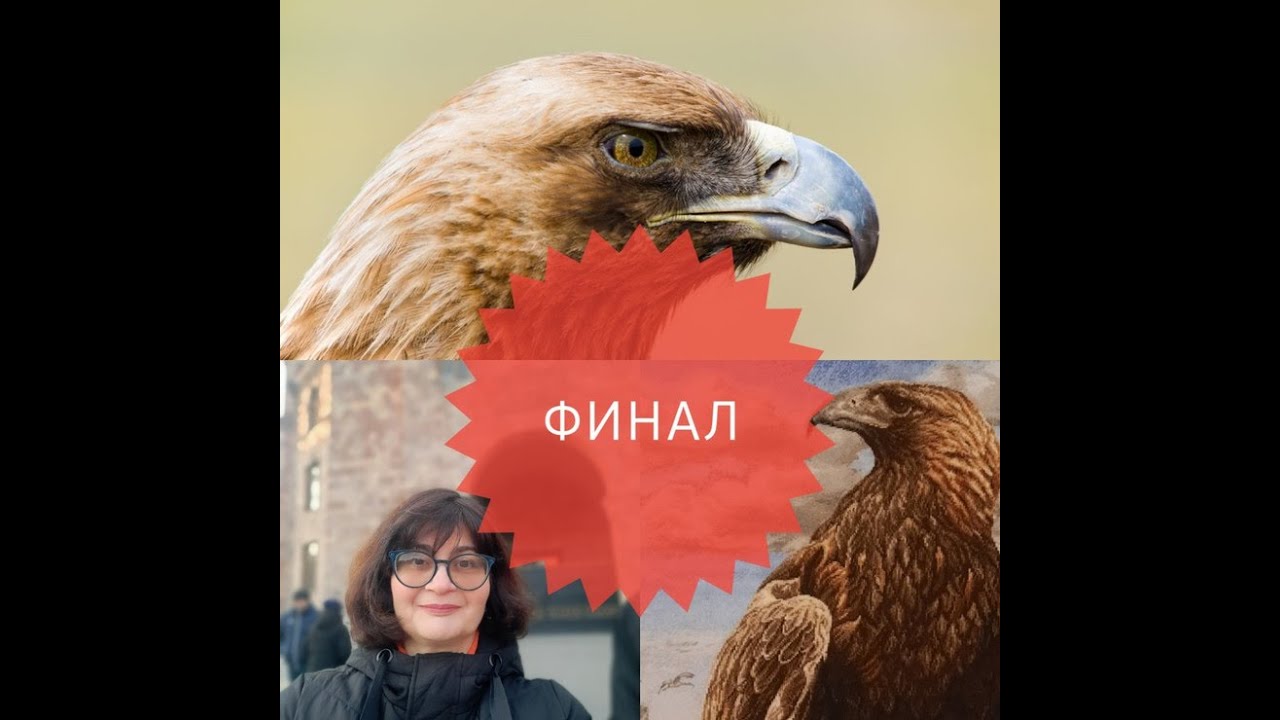 ANCHOR MAIA 01229 "3D Орёл (3D Eagle)"финал 