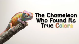 Information 🌈🦎 The Chameleon Who Found Its True Colors 🍎🫐🍊🍌🍇 Update