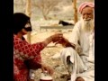 شايب و العيب