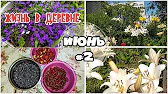 ДЕРЕВНЯ_57. Жизнь в Деревне.