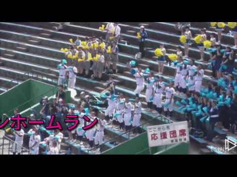 栃木県高校野球ニュース 白鴎大足利編