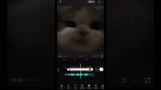 Capcut edit tutorial | cat edit