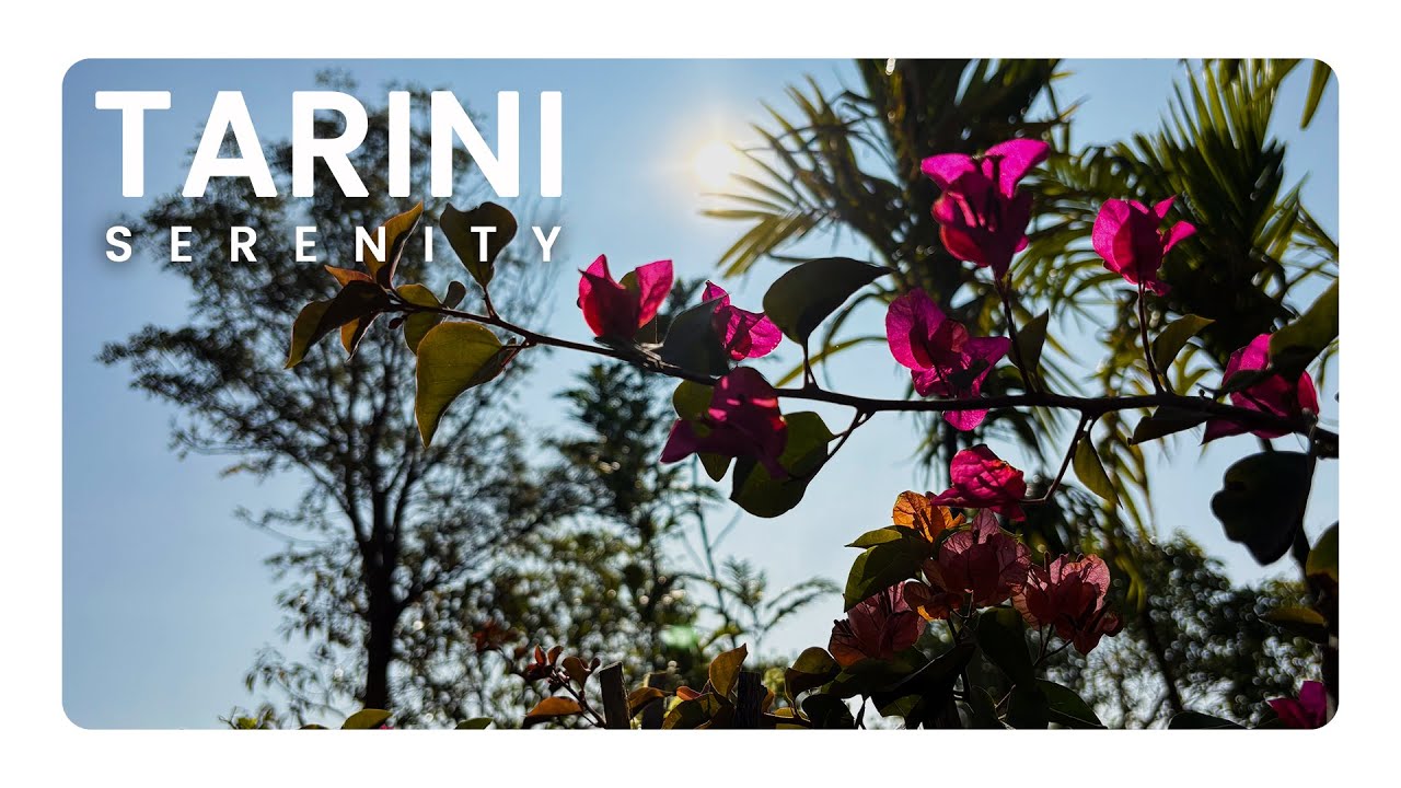 Tarini Serenity | Tarini Farms and Resorts | Greensiri