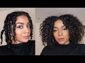 3 Strand Twist Out on Transitioning Hair | Actually Ashly