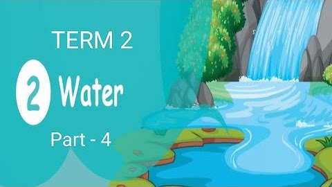 5th science Lesson 2 water part 4