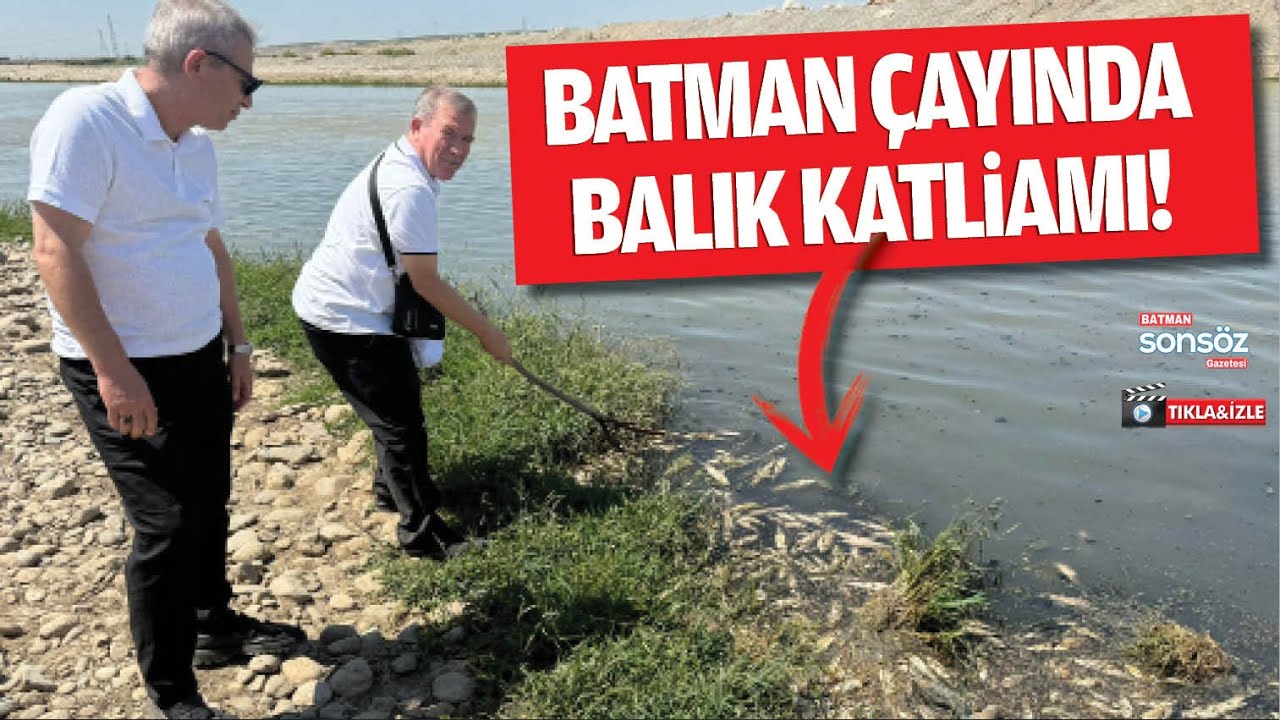 Batman &Ccedil;ayında balık katliamı!