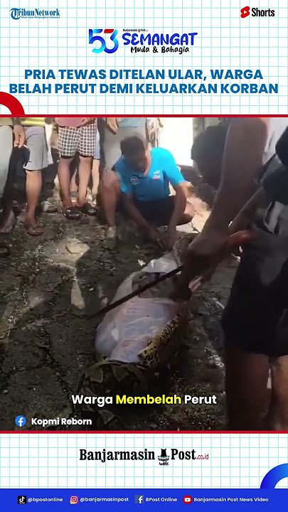 Pria Tewas Dimangsa Ular Piton Raksasa, Warga Belah Perut Sang Predator Demi Keluarkan Korban