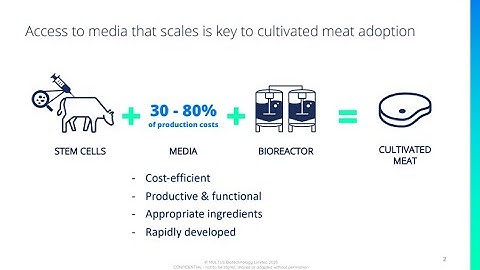 Multus Biotechnology: AI-driven media optimization