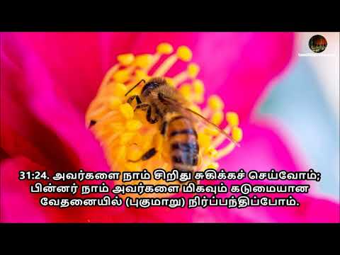 tamil-quran-sura-31-luqman-ஸூரத்து-லுக்மான்