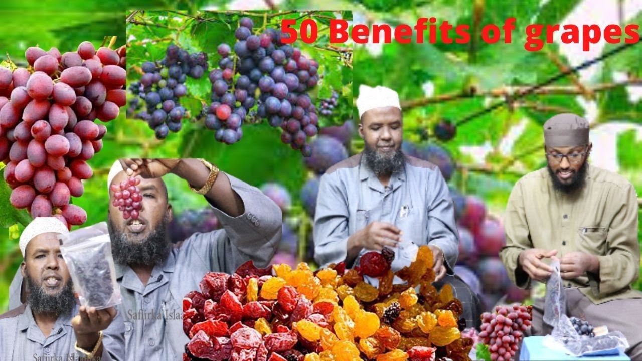 ''50 Health Benifits of Grapes'' Faa'idooyinka Kaa Qarsoon Ee Ku Jira Zabiibka/Canabka
