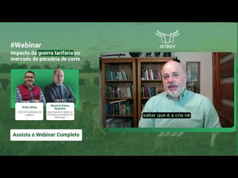 Guerra Tarifaria e Impactos na Pecuária de Corte | Crescimento do Ciclo de Cria no Brasil - video from JetBov