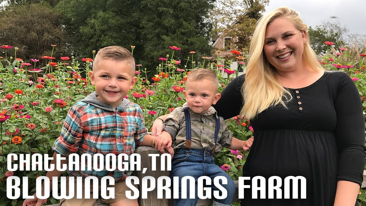 Blowing Springs Farm || Chattanooga Tennessee - RV Living