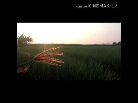 Ari Lasso - Seandainya ( lirik )