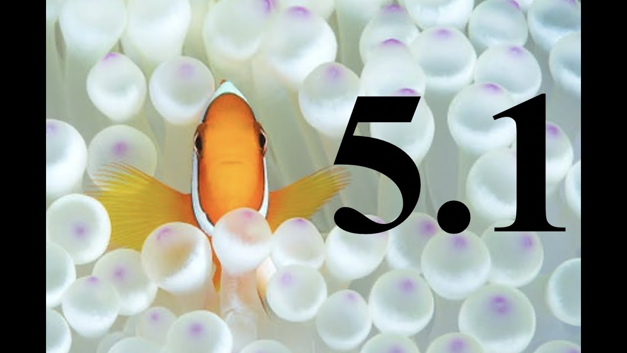 5 1 - YouTube