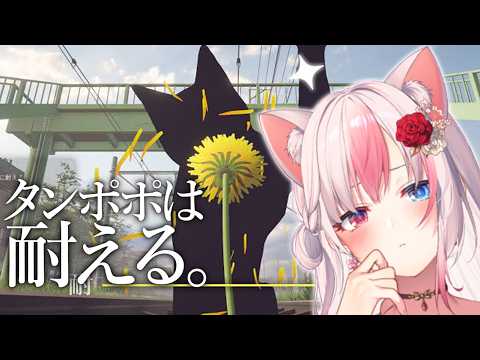 〖 タンポポは耐える。〗ネコの王女が転生したら…タンポポだった件について…！？【#黒桐アリア┊#Vtuber】