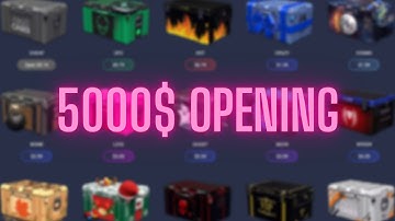 5000$ Case Opening on CSOGCASES (100 subscriber special)