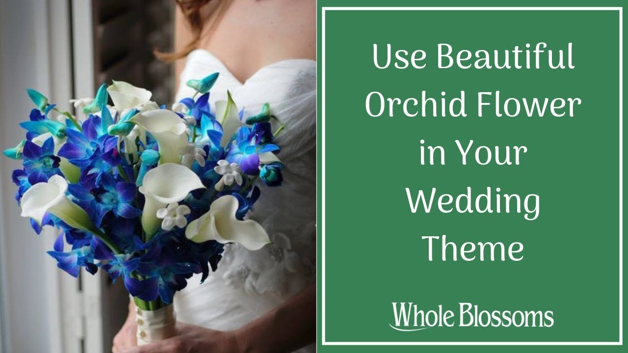 Use Beautiful Orchid Flower in Your Wedding Theme