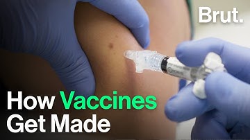 How a Vaccine Gets Made