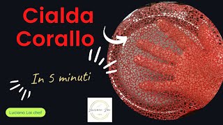 Come creare la cialda corallo per decorare i piatti