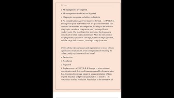 NR 507 ADVANCED PATHOPHYSIOLOGY FINAL EXAM NEWEST VERSION 2025 WITH COMPLETE 250 QUESTIONS AND SOLUT