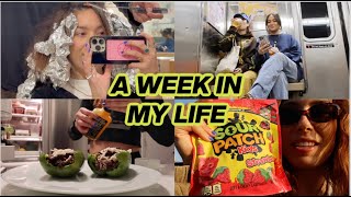 A week in my life (weeknight recipes, hair appt, podcast approvals)