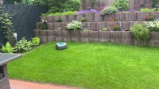 IMG 6347