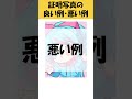証明写真の良い例・悪い例 ミニキャラ編【再掲】 #shosts #vtuber #新人vtuber #個人vtuber #大学生 #個人勢vtuber #大学生vtuber