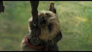 STRAYS   |   Official Trailer (2023) @gofobo