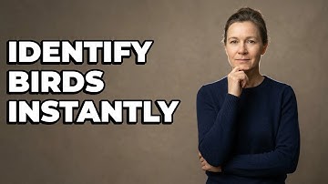 Which Apps Help Identify Birds While Birding?