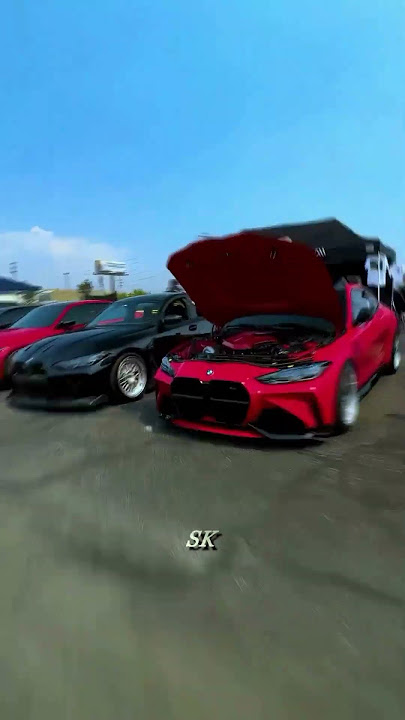 JOGO DE TOLOS · Scythermane