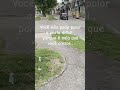 3 de março de 2026