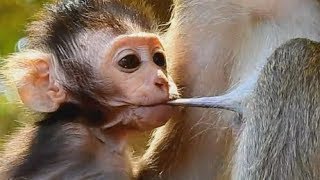 Wooow Loooong Adorable Baby Alexandra Get Milk In Chest Mama April Baby Look Weak Milk.