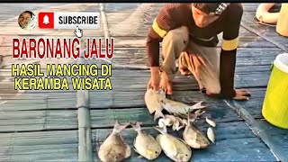 MANCING BARONANG JALU KERAMBA @Ngusepbaronangchannel RABBITFISH FISHING