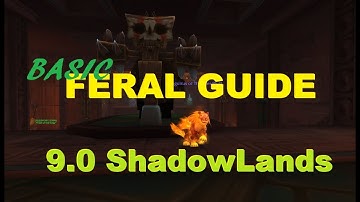 Updated Basic Feral Guide for Shadowlands