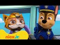 Psi Patrol | Najlepsze misje ratunkowe Psiego Patrolu i Kociej Paczki! | Nick Jr. Polska