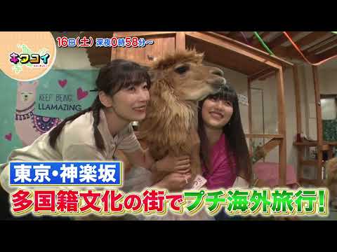 9/16(土)神楽坂でプチ海外旅行！佐藤優樹が番組初登場！【キタコイ】