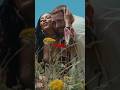 Capture de la vidéo This Woman Saved Post Malone ❤️