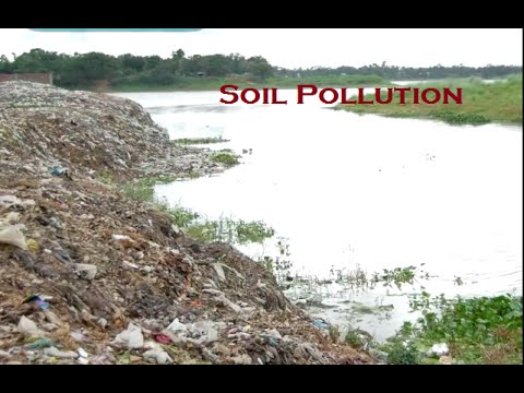 Essay on soil pollution