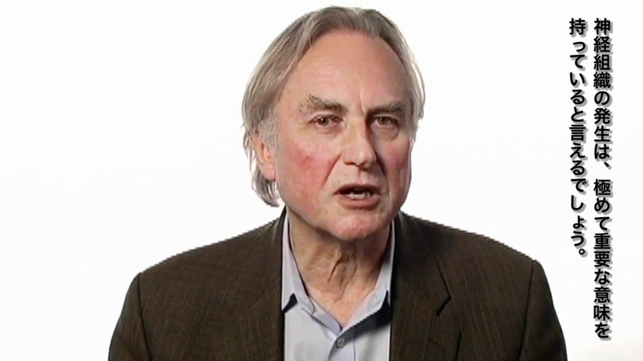 maxresdefault.jpg?sqp=-