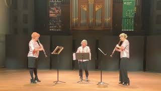 Magoo teRZetto, Jaques Bouffil- Trio Nr.5, Op 8, Andante Varié