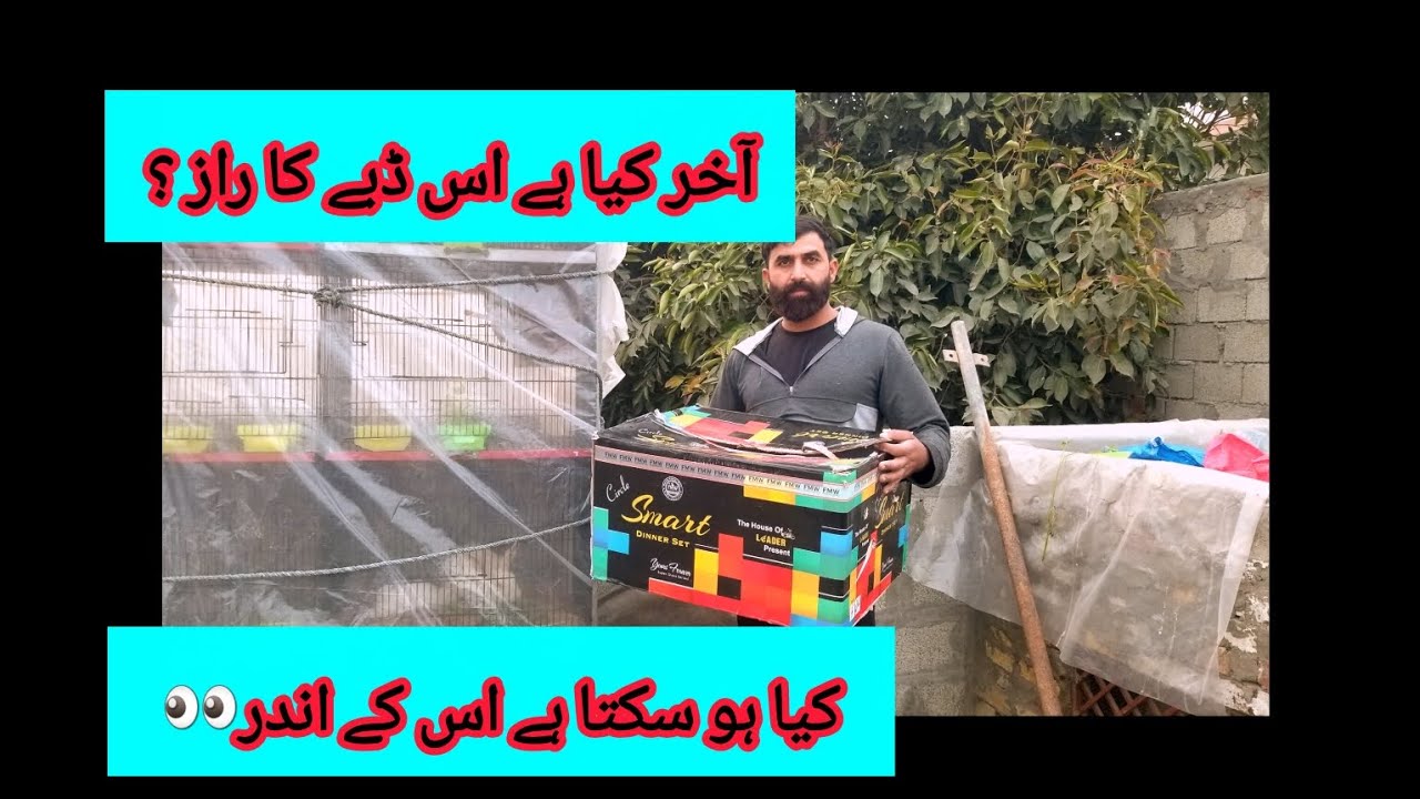 اس ڈبے میں کیا ہے ایسا روستو 👀😍😍🥰