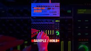 Sample and Hold — Live Acid Techno Improv | Mermelada 2020 #shorts