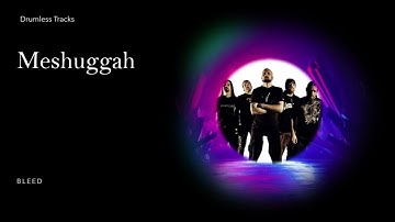 Meshuggah - Bleed (drumless)