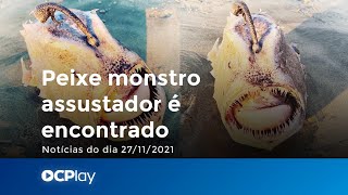 Peixe monstro assustador e encontrado nos EUA