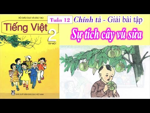 Video Chính Tả Lớp 2 Tuần 12 | Sự Tích Cây Vú Sữa | Giải Bài... - YouTube