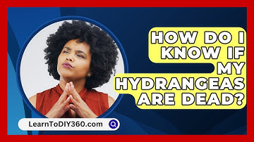 How Do I Know If My Hydrangeas Are Dead? - LearnToDIY360.com