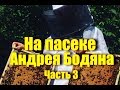 На пасеке Андрея Бодяна -Летний визит /Медогонка Цех Платформа Цена меда /Часть третья/