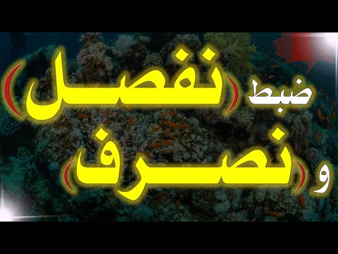 ضبط مواضع نفصل الآيات و نصرف الآيات في القرآن الكريم