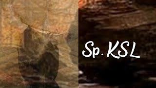 Panggil suara burung walet sp ksl