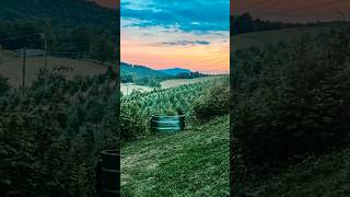 6104 Howards Creek Road, Boone, NC Walkthrough